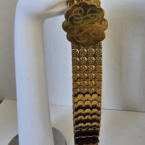 Snake Belt 1970 display picture 1