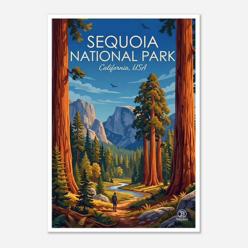 Kunstprint van Sequoia National Park | Reisposter van het Californische reuzenbos (digitale download) afbeelding 1