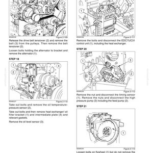 May include: A page from an engine repair manual titled Chapter 2 - 667TA Engine Overhaul. It contains technical line drawings labeled Step 17 through Step 21, showing engine components like pulleys, belts, sensors, and a flywheel with numbered parts.