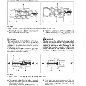 Pu&ograve; includere: Diagramma tecnico di una valvola di scarico della pressione e limitatori di flusso di un motore. L'immagine mostra sezioni trasversali con etichette per parti come il pistone e la molla, insieme a testo esplicativo.