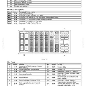 May include: A technical diagram of a vehicle fuse box layout, featuring a central grid of numbered slots surrounded by tables labeled Relay Descriptions 15-20, Maxi Fuse Descriptions, and Mini Fuses, detailing specific electrical component functions.