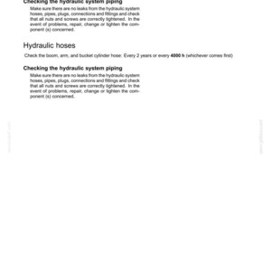 May include: A page from a maintenance manual with the title "6 - MAINTENANCE." The text details checks for pump outlet hoses and hydraulic system piping, including inspection intervals and potential issues.