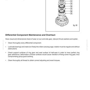 May include: An exploded diagram of a differential component assembly, labeled with letters and numbers. The image includes text describing maintenance and overhaul procedures for the differential.