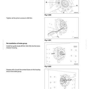 May include: Diagrams from a manual detailing the brakes and steering differential of a D150 vehicle. The images show steps for tightening screws, re-installing the brake group, and applying grease. Text includes instructions and figures.