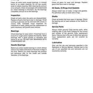 Pu&ograve; includere: Una pagina di manuale intitolata "INFORMAZIONI GENERALI" con istruzioni per la pulizia, l'ispezione e la manutenzione. Contiene sezioni su ingranaggi, paraoli e cuscinetti. Numero di documento 1001-5.