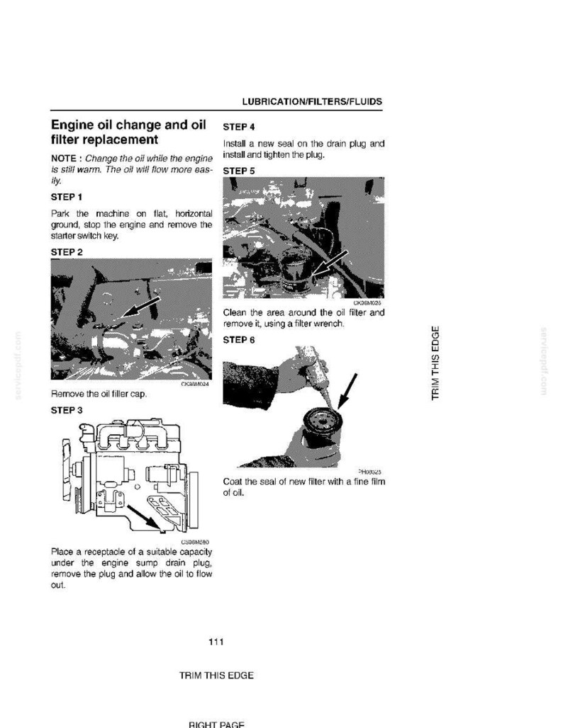 May include: Diagram of engine oil change and oil filter replacement steps. Includes instructions for removing the oil filter cap, cleaning the area, and installing a new seal. Text includes "LUBRICATION/FILTERS/FLUIDS" and "Engine oil change and oil filter replacement."