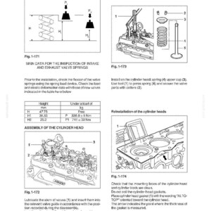 Pu&ograve; includere: Diagrammi da un manuale di riparazione del motore, che illustrano molle delle valvole, testate e procedure di assemblaggio. Include misure in millimetri e Newton metri, con note sugli anelli di tenuta e il posizionamento delle guarnizioni.