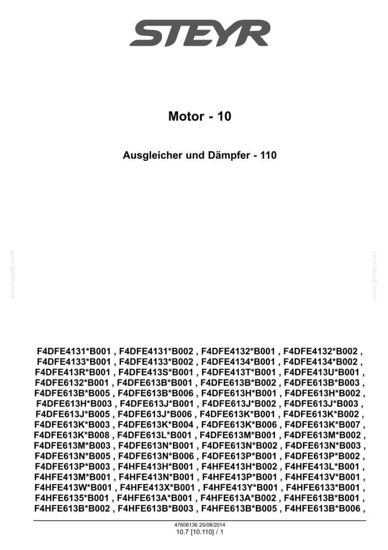 Steyr Nef Tier 4B ( final ) F4DFE413, F4DFE613, F4HFE413, F4HFE613 Motor Wartungsheft Reparatur Werkstattheft | PDF-Download Bild 8
