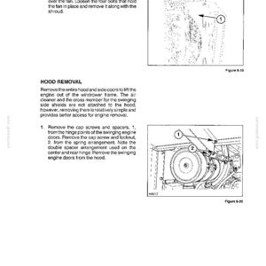 Pu&ograve; includere: Una pagina di manuale tecnico intitolata SECTION 6 - ENGINE, contenente istruzioni per la rimozione del carter della ventola e del cofano. Include due disegni al tratto in bianco e nero, Figure 6-19 e 6-20, che mostrano componenti meccanici numerati.