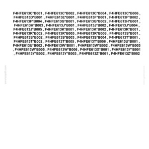 Steyr Nef Tier 4B ( final ) F4DFE413, F4DFE613, F4HFE413, F4HFE613 Motor Wartungsheft Reparatur Werkstattheft | PDF-Download Bild 5