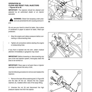 May include: A technical manual page titled Lubrication and Maintenance Section 4, detailing the procedure for cleaning and resetting fuel injectors. It includes safety warnings, numbered instructions, and three black-and-white line drawings labeled 93, 94, and 95 showing engine components and numbered parts for assembly reference.