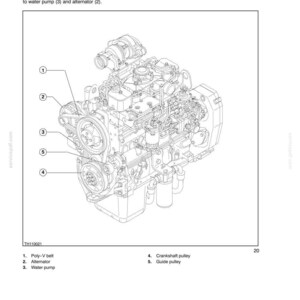 May include: Detailed diagram of an engine's auxiliary organs drive system. The image shows a Poly-V belt, alternator, water pump, crankshaft pulley, and guide pulley. Text labels identify each component, with the section title reading "SECTION 10 - ENGINE".