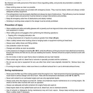 May include: A page of safety rules for Magnum engines, including precautions and injury prevention guidelines. Text is black on a white background, with headings and bullet points for clarity. Includes warnings about high voltage and flammable materials.