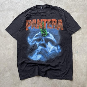 May include: A black short-sleeve t-shirt featuring the word PANTERA in orange textured lettering across the chest. Below the text is a graphic of a blue, smoky, ethereal skull with a bright green, coiled, snake-like object resting on top.
