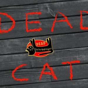 Halloween DEAD Cat in a Box - Enamel pin- trick or treat, gift, black cat, halloween party, halloween gift, halloween, goth, goth gift