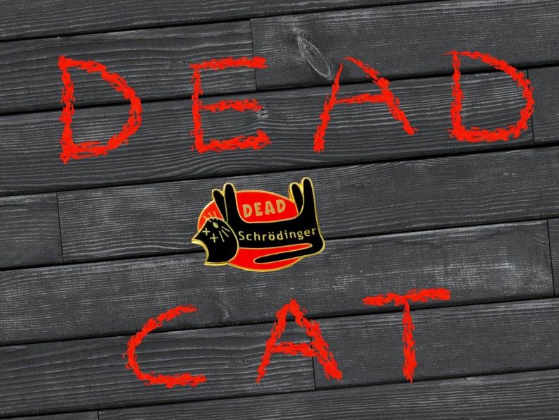 Halloween DEAD Cat in a Box - Enamel pin- trick or treat, gift, black cat, halloween party, halloween gift, halloween, goth, goth gift