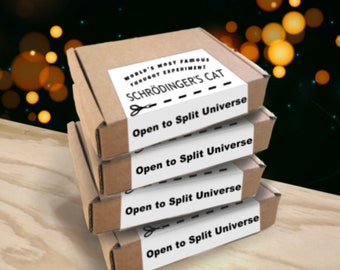 Schrodinger&#39;s Cat in a Box - Set of 4 FREE POST - Mystery - Physics, College, Science gift,  nerd, geek, student, teacher, school, STEM