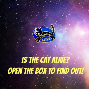 Schrodinger's Cat in a Box -Enamel pin- Physics, College, Science, STEM, nerd, geek, student, teacher, dead/alive Surprise Fun Cheap gift