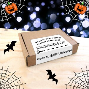 Halloween DEAD Cat in a Box - Enamel pin- trick or treat, gift, black cat, halloween party, halloween gift, halloween, goth, goth gift