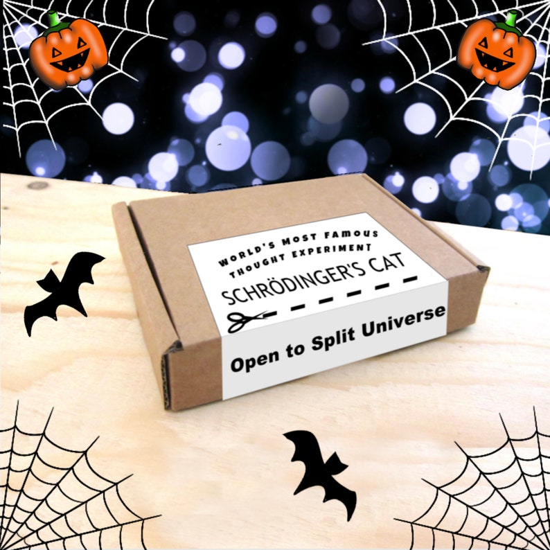 Halloween DEAD Cat in a Box - Enamel pin- trick or treat, gift, black cat, halloween party, halloween gift, halloween, goth, goth gift