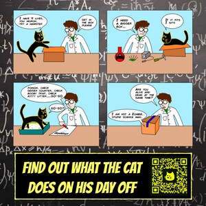 Il gatto di Schrödinger in una scatola / Spilla smaltata per Halloween: dolcetto o scherzetto, regalo, gatto nero, festa di Halloween, regalo gotico / Sempre MORTO immagine 7