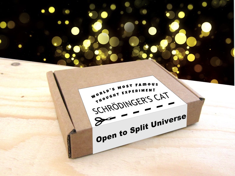 Schrodinger's Cat in a Box Enamel pin Physics College image 1