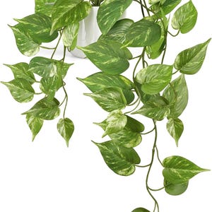 Artificial Hanging Pothos | Faux Hanging Plant | Fake Greenery with Ceramic Pot | Home Decor