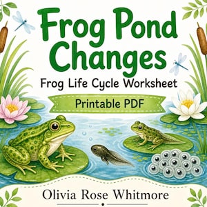 Frosch Teich Änderungen | Frosch Lebenszyklus Arbeitsblatt | Druckbare PDF | Digitaler Download Bild 1