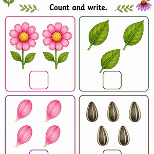 Flower Parts Garden | Parts of a Flower Worksheet | Printable PDF | Digital Download image 5