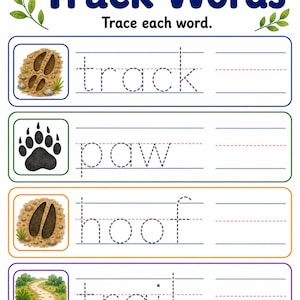 Animal Tracks Trail | Animal Tracks Worksheet | Printable PDF | Digital Download image 6