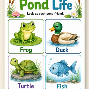 Pond Life Explorer | Pond Life Worksheets | Printable PDF | Digital Download image 9