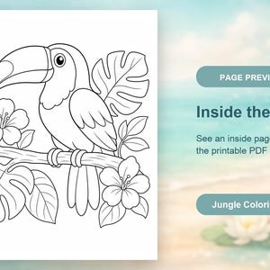 Desenhos para colorir de explorador da selva | Desenhos para colorir da selva | PDF para imprimir | Download digital imagem 10