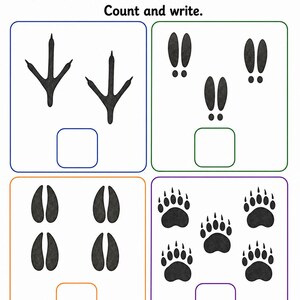 Animal Tracks Trail | Animal Tracks Worksheet | Printable PDF | Digital Download image 5