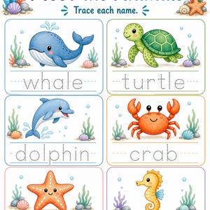 Ocean Animal Friends | Sea Animals Worksheets | Printable PDF | Digital Download image 3