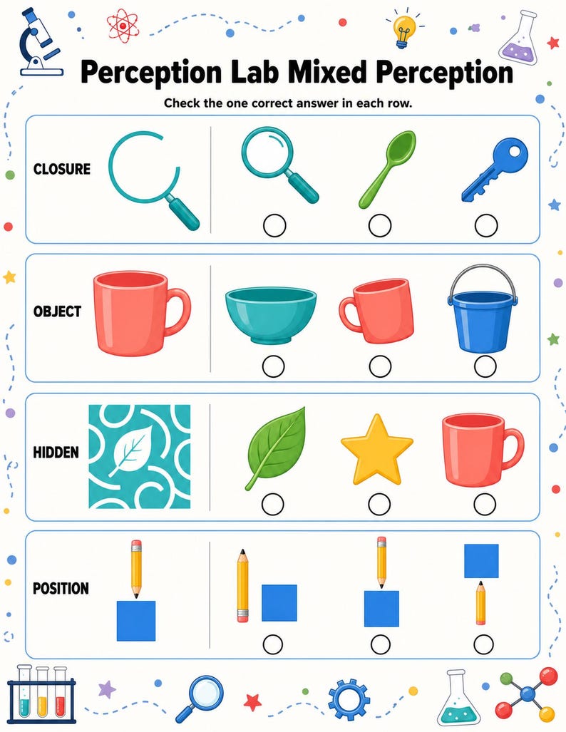Visual Perception Lab | Visual Perception Worksheets | Printable PDF | Digital Download image 7