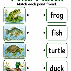 Frosch Teich Änderungen | Frosch Lebenszyklus Arbeitsblatt | Druckbare PDF | Digitaler Download Bild 5