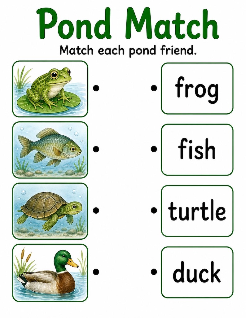 Frosch Teich Änderungen | Frosch Lebenszyklus Arbeitsblatt | Druckbare PDF | Digitaler Download Bild 5