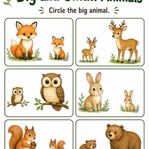 Amis des animaux de la forêt | Feuilles de travail sur les animaux | PDF imprimable | Téléchargement numérique image 5