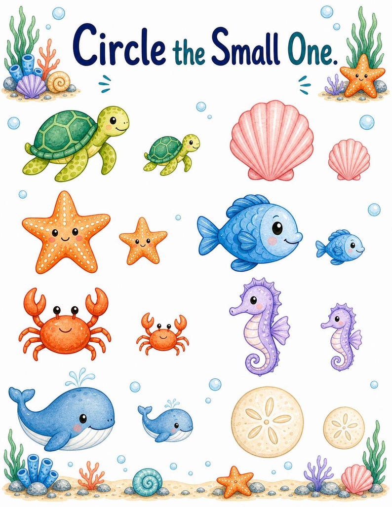Turtle Big & Small | Big and Small Worksheets | Printable PDF | Digital Download image 5