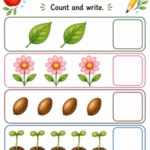 Levenscyclus van klein blad | Werkblad levenscyclus planten | Afdrukbare pdf | Digitale download afbeelding 6