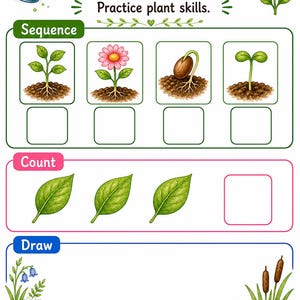 Levenscyclus van klein blad | Werkblad levenscyclus planten | Afdrukbare pdf | Digitale download afbeelding 7