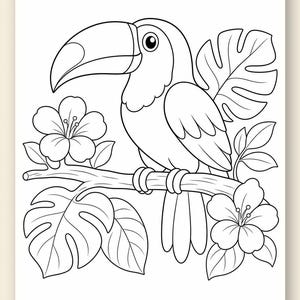 Desenhos para colorir de explorador da selva | Desenhos para colorir da selva | PDF para imprimir | Download digital imagem 9