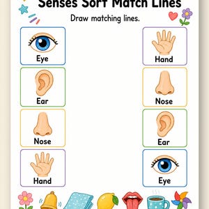 Clasificación de los cinco sentidos / Hojas de trabajo de los cinco sentidos / PDF imprimible / Descarga digital imagen 9