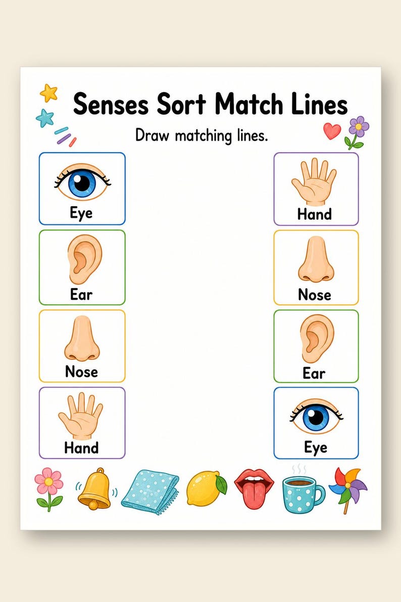 Clasificación de los cinco sentidos / Hojas de trabajo de los cinco sentidos / PDF imprimible / Descarga digital imagen 9