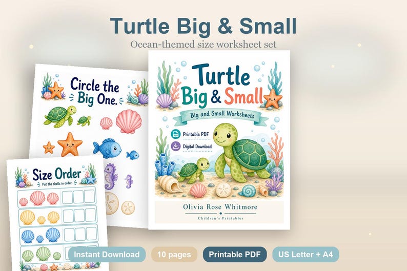 Turtle Big & Small | Big and Small Worksheets | Printable PDF | Digital Download image 2