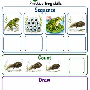 Frosch Teich Änderungen | Frosch Lebenszyklus Arbeitsblatt | Druckbare PDF | Digitaler Download Bild 7