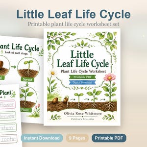 Levenscyclus van klein blad | Werkblad levenscyclus planten | Afdrukbare pdf | Digitale download afbeelding 2