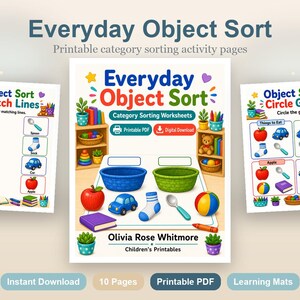 Everyday Object Sort | Category Sorting Worksheets | Printable PDF | Digital Download image 2