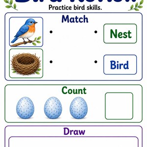Appunti sui nidi degli uccelli / Schede didattiche sugli uccelli / PDF stampabile / Download digitale immagine 7