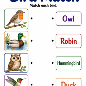 Appunti sui nidi degli uccelli / Schede didattiche sugli uccelli / PDF stampabile / Download digitale immagine 3